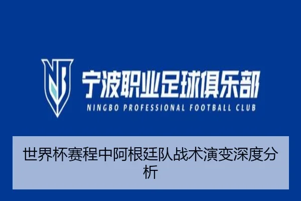 世界杯赛程中阿根廷队战术演变深度分析（BSPORTS）